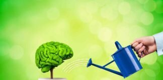 Alimenti che migliorano la memoria
