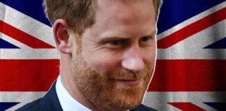 harry londra novità