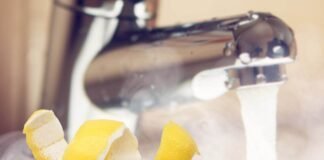 trucco limone pulizie