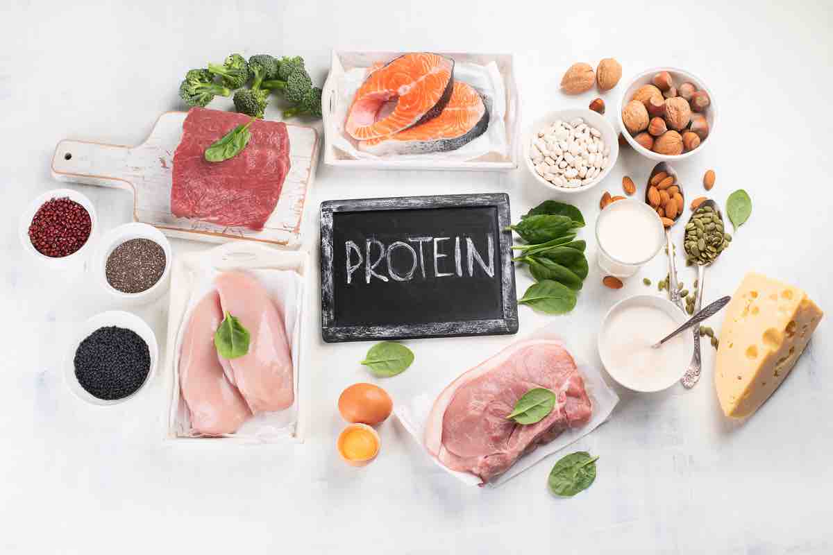 Proteine: quanto sono importanti