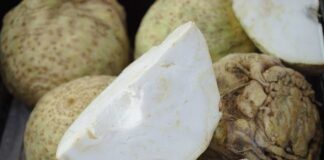 Cotolette di sedano rapa: l’alternativa alle classiche