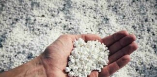 Spiaggia pop corn curiosità
