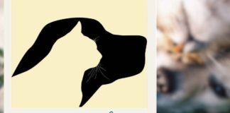 Il test che svela la tua personalità