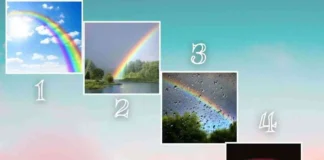 test arcobaleno personalità
