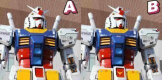 test trova differenze