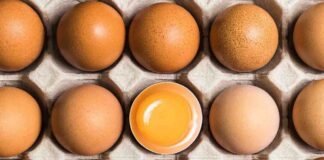 Uova: come sceglierle di qualità