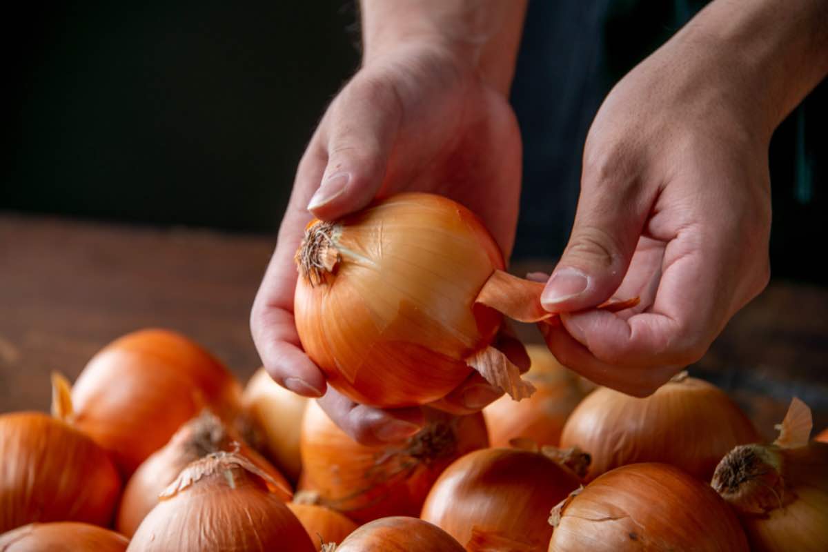 Come riutilizzare le bucce delle cipolle per insaporire i piatti