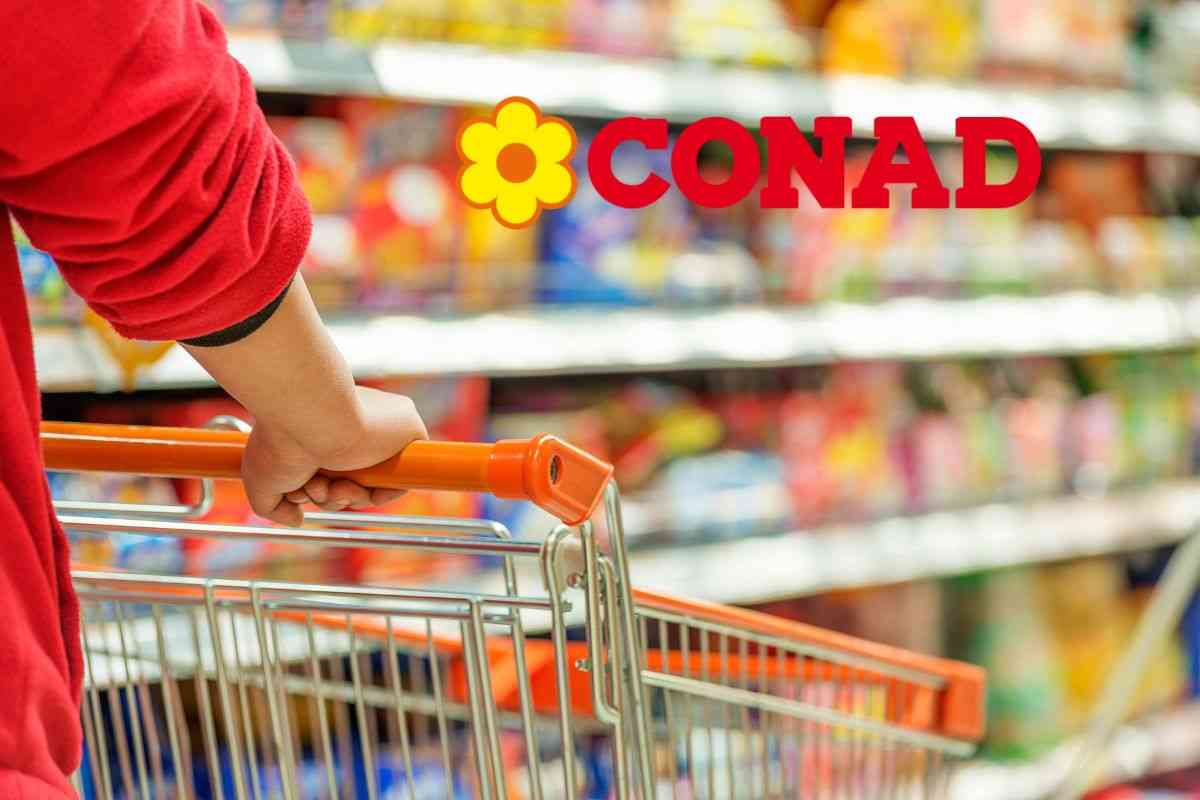 assunzioni conad posizioni aperte requisiti