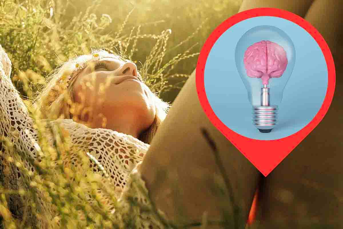 studio scientifico sui sogni a occhi aperti cosa succede al cervello umano