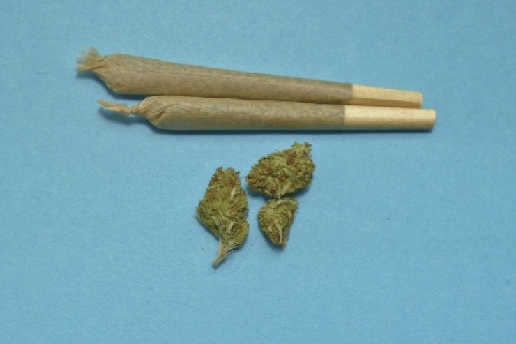 Ok a legalizzazione parziale della cannabis