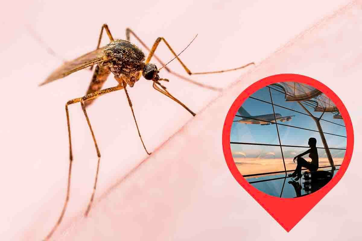 La febbre Dengue preoccupa