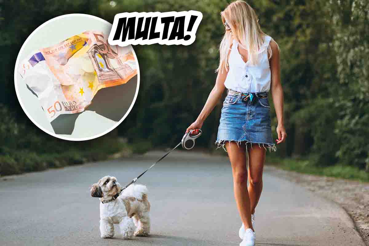 Multa pipì cane 300 Euro spruzzino