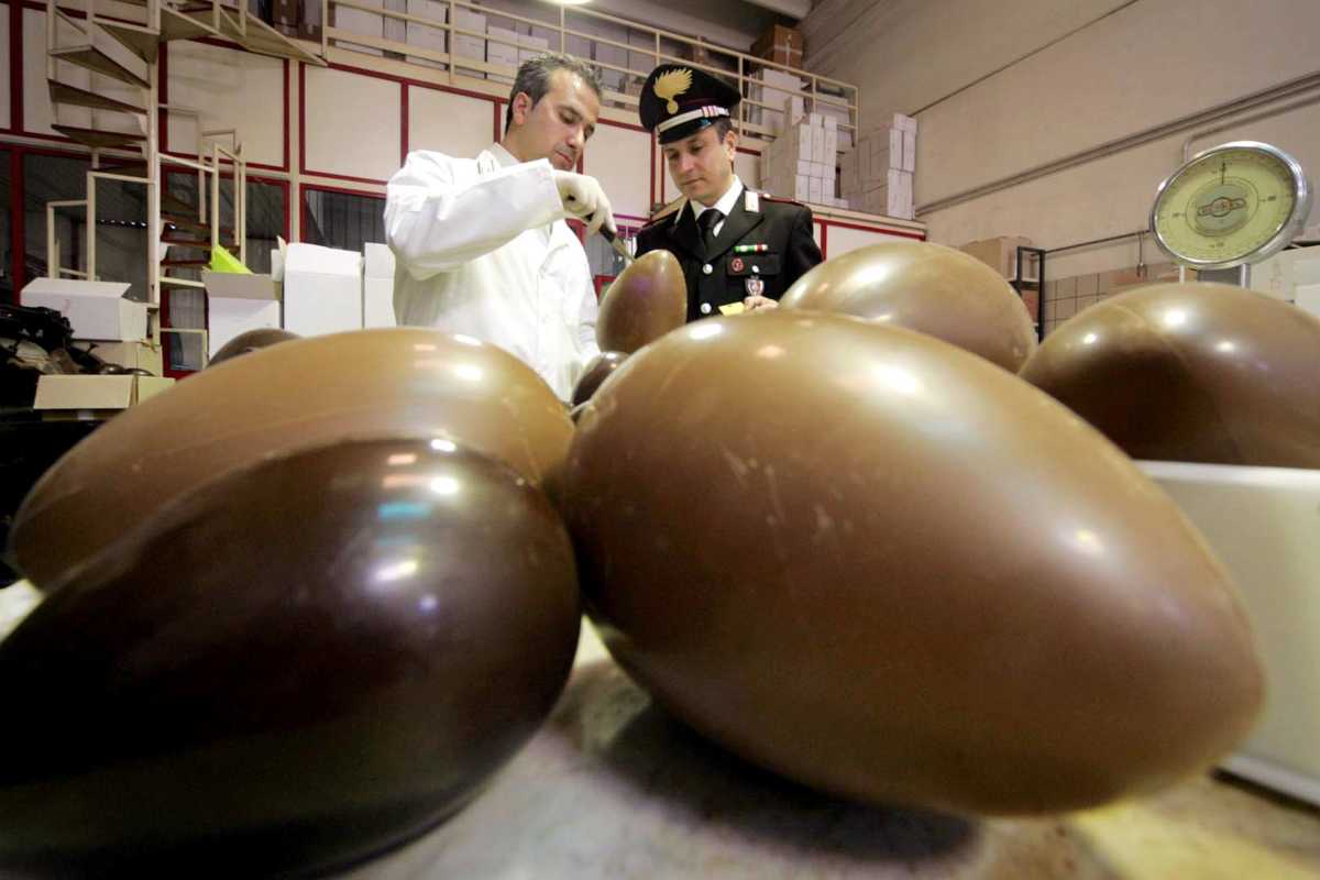 Sottoposte a sequestro 2 tonnellate