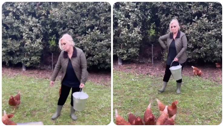 Tina Cipollari e le galline