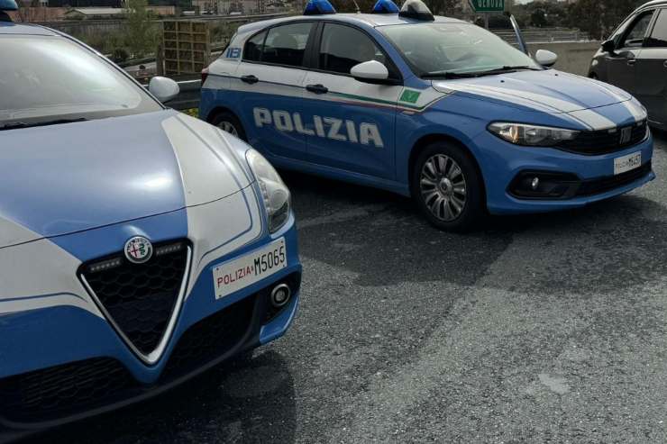 Gli tolgono patria potestà, rapisce figlio: scaglia contro polizia un pitbull