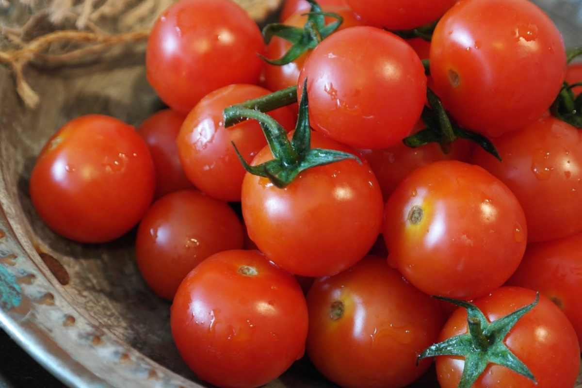 Pomodorini tossici nelle scuole, bambini si sentono male: interviene il ministero