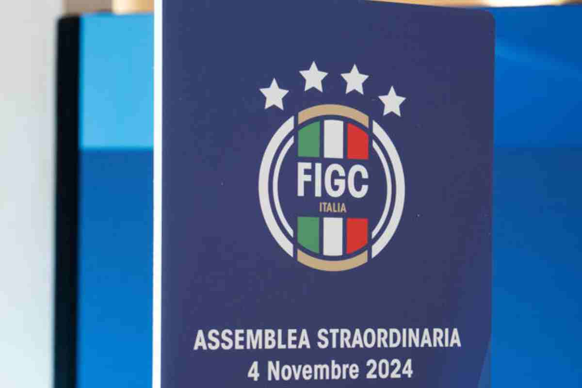 Assemblea Figc