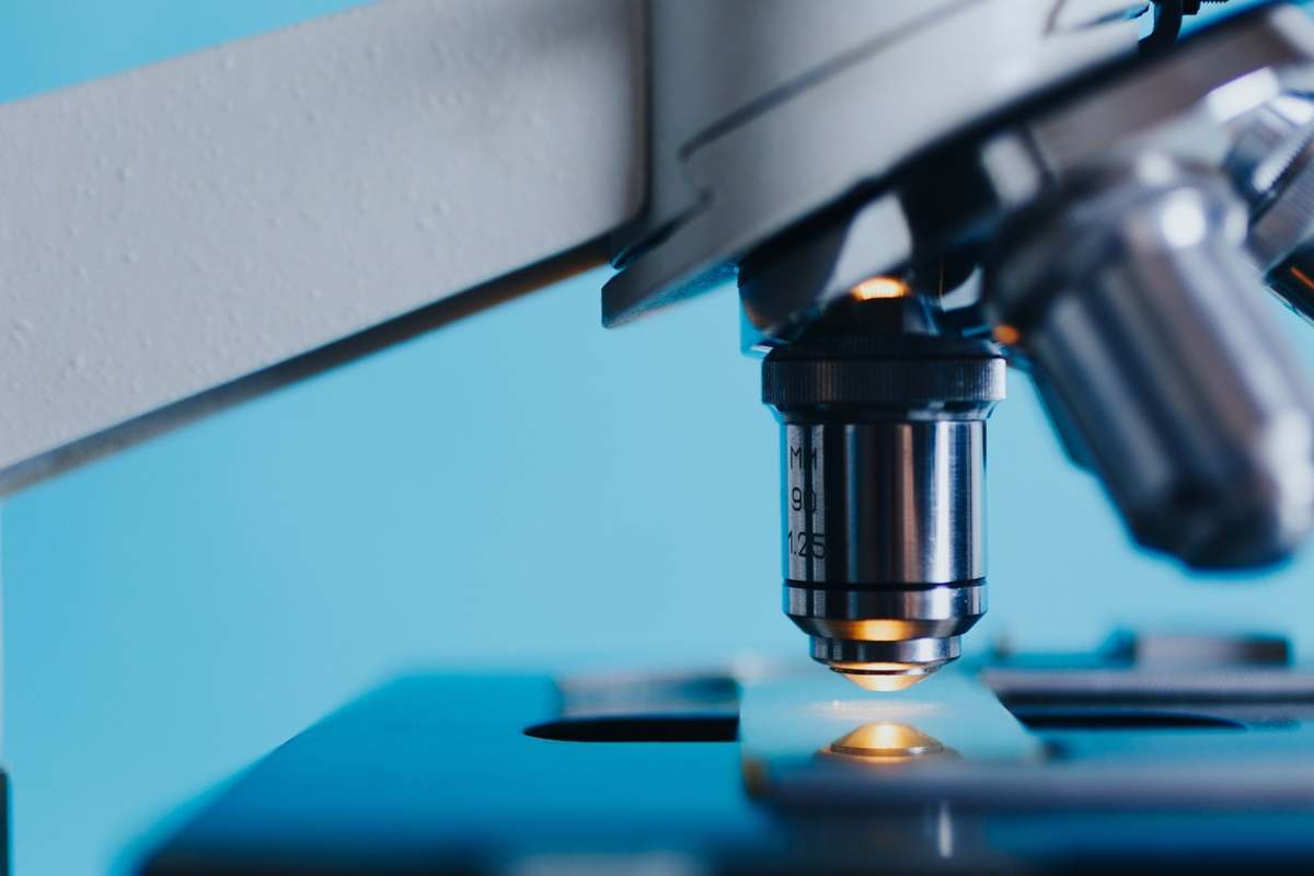 Tumori, svolta improvvisa: l’intelligenza artificiale in aiuto della medicina Tumori, svolta improvvisa: l’intelligenza artificiale in aiuto della medicina