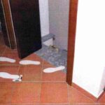 Delitto Garlasco