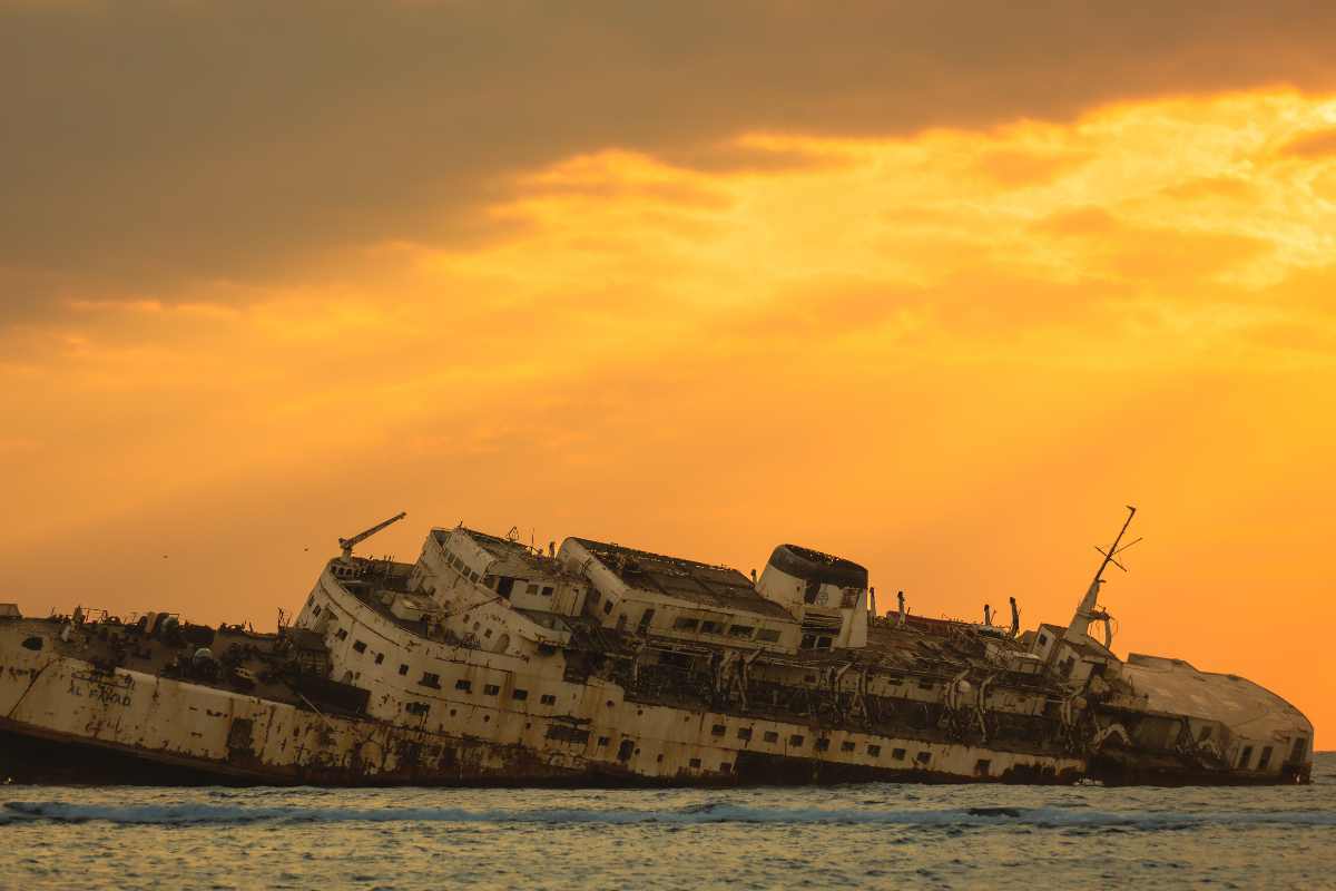 Alla deriva per 55 giorni: “Ecco come siamo sopravvissuti” Alla deriva per 55 giorni: “Ecco come siamo sopravvissuti”