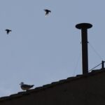 Il Conclave è cominciato