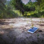 Cellulare in giardino