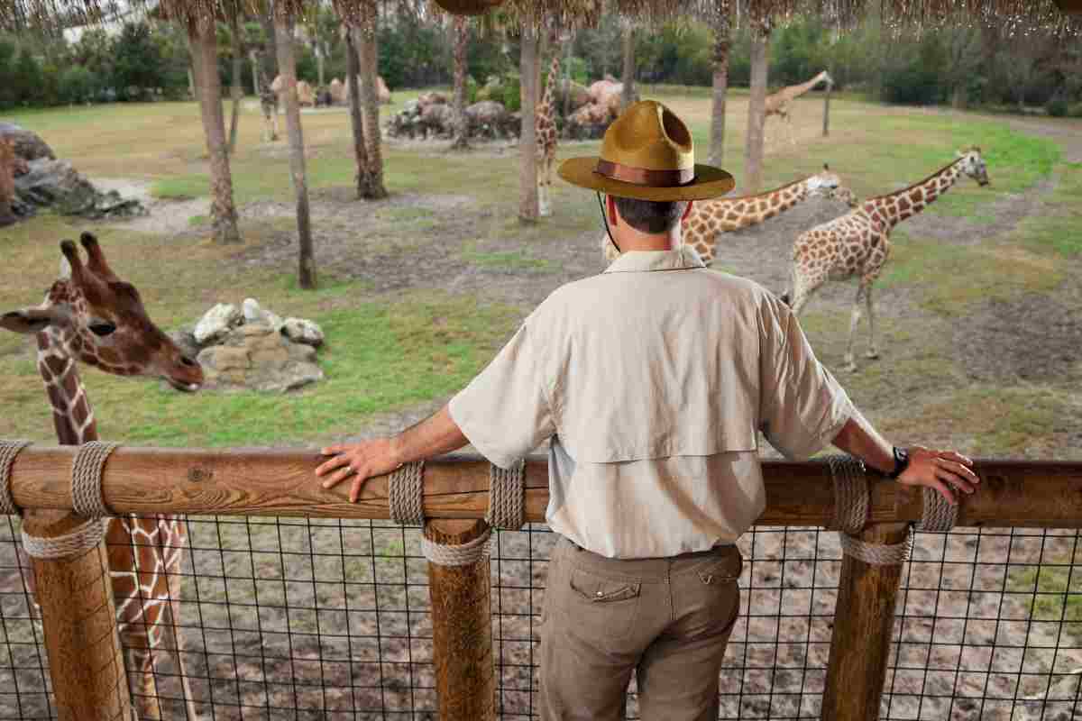 Zoo