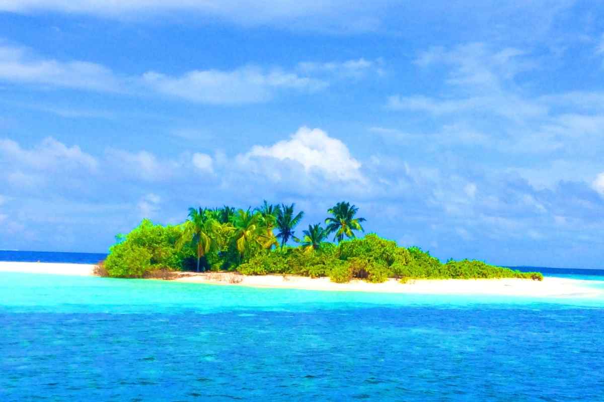 Isola