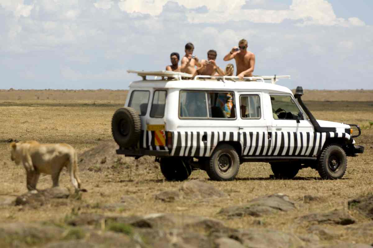 Gita in safari