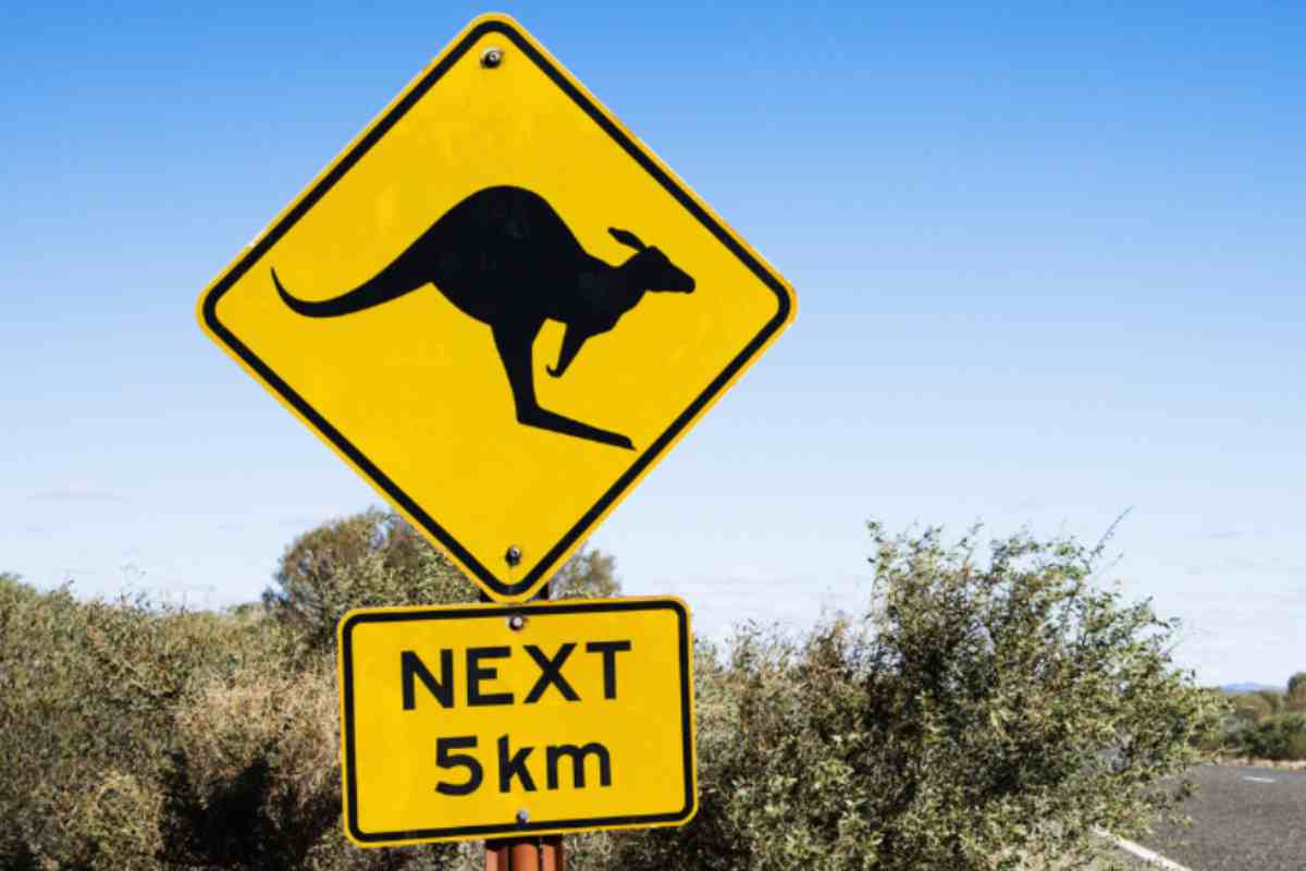 Scomparsa per 12 giorni nella natura selvaggia australiana, poi il colpo di scena Scomparsa per 12 giorni nella natura selvaggia australiana, poi il colpo di scena