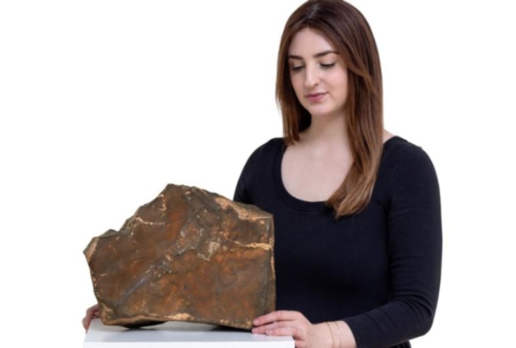 Meteorite