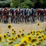 I ciclisti impegnati in strada