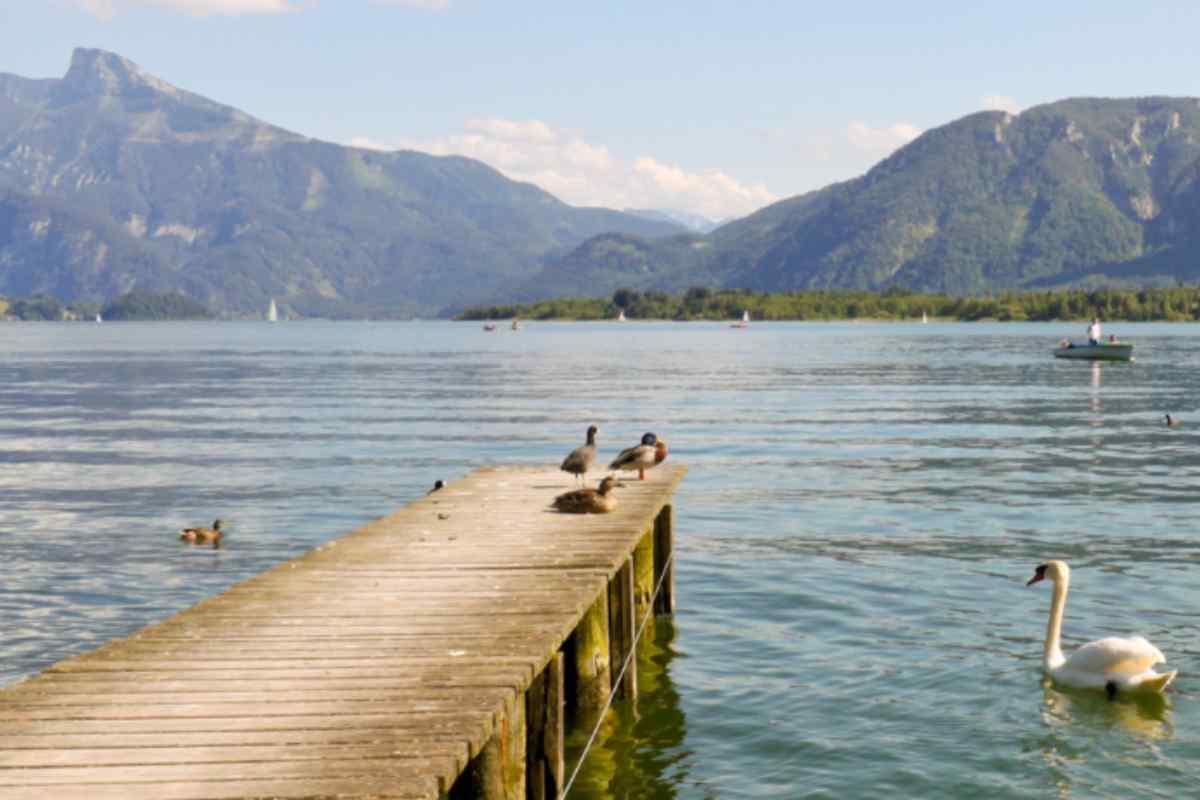 Eredita un lago donato da Napoleone: “Ora andate via tutti” Eredita un lago donato da Napoleone: “Ora andate via tutti”