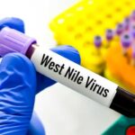 Virus