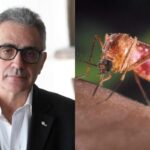 Pregliasco e una zanzara foto combo