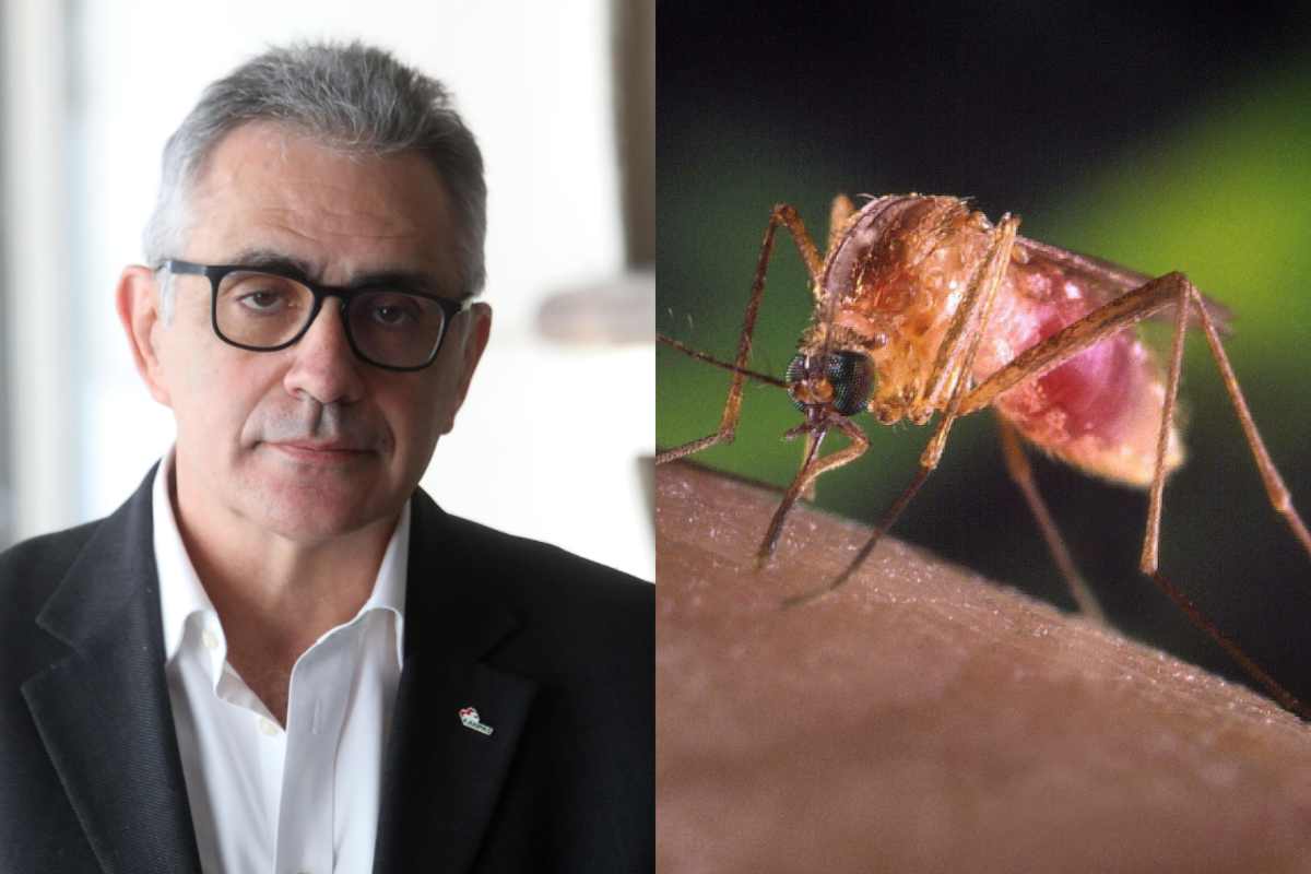 west nile pregliasco in esclusiva i comportamenti da tenere per ridurre i contagi