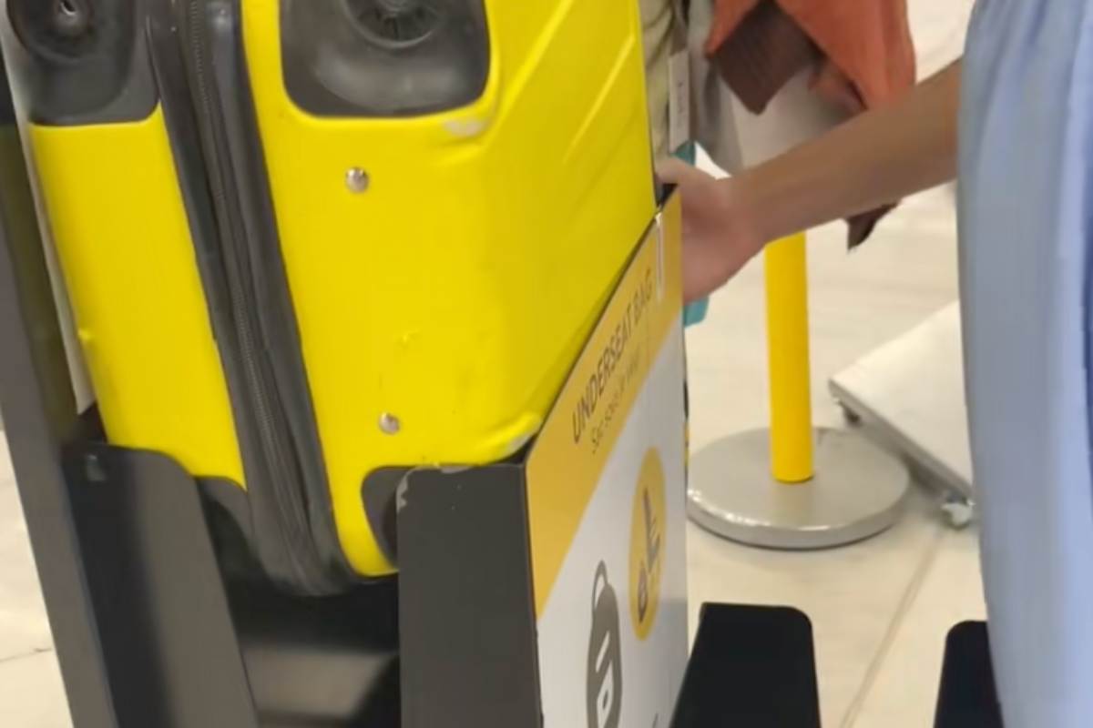Il bagaglio della passeggera