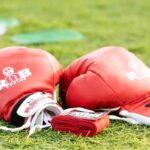 I guantoni da box su un prato