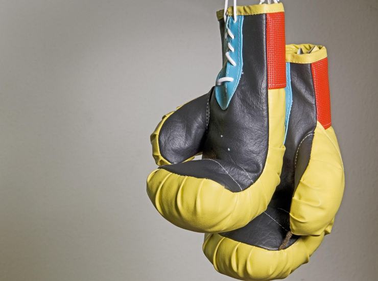 Due guantoni da boxe