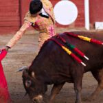 Torero con toro