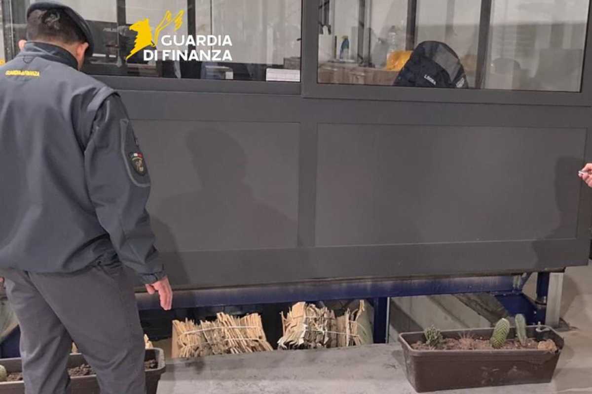 Blitz della Guardia di Finanza, scoperta incredibile: cosa hanno trovato