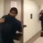 La violenza in tribunale