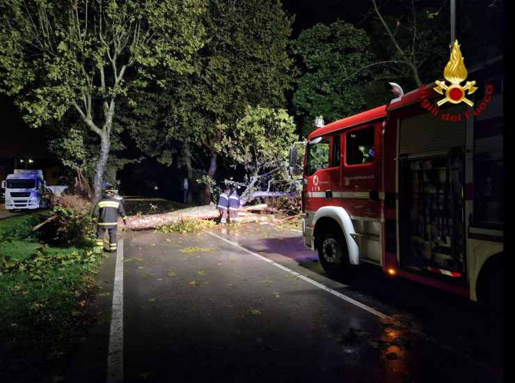 I vigili del fuoco in azione