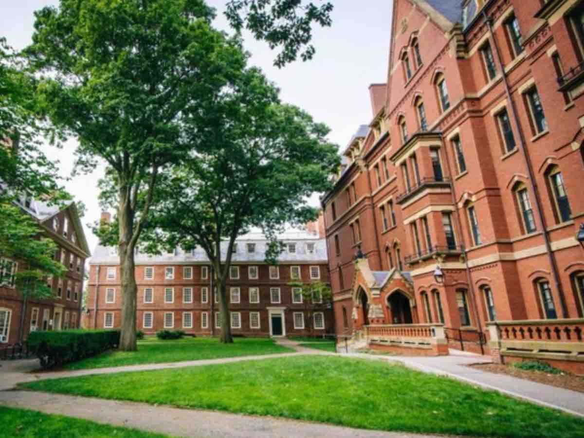 Harvard svela il segreto per diventare virali online Harvard svela il segreto per diventare virali online