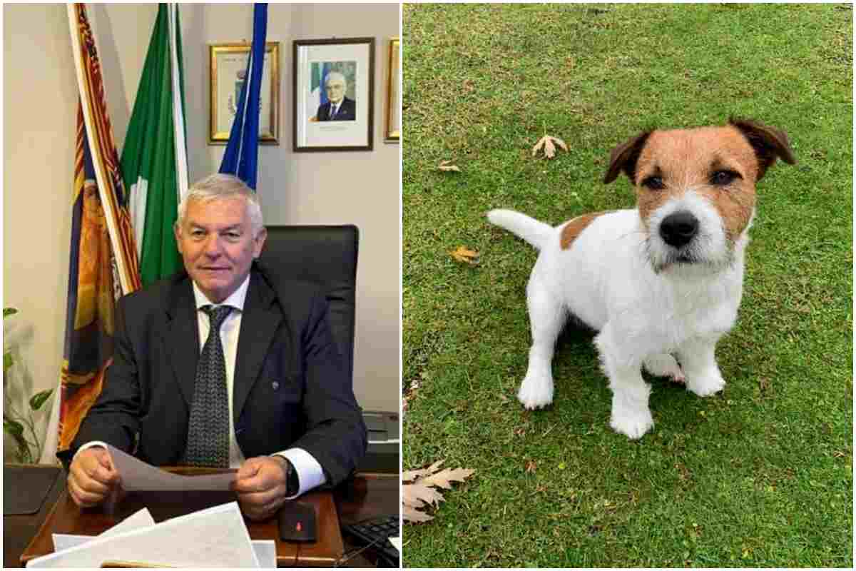 Si candida a sindaco, gli elettori votano per il suo cane: “Sarà eletto”