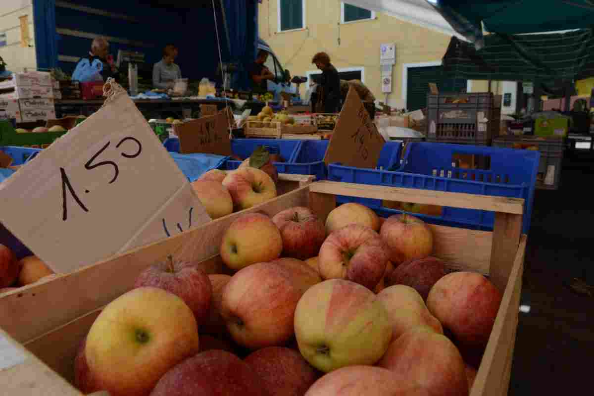 Il carrello della spesa