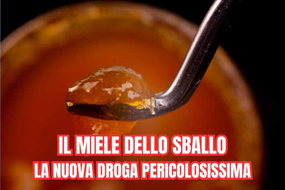 Il “miele dello sballo”: tutto sulla nuova e pericolosa droga che impazza tra i giovani