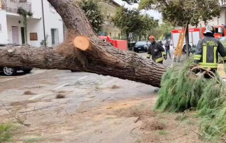Alluvioni e piogge