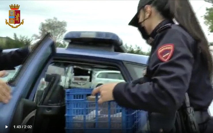 Una poliziotta mentre effettua un controllo