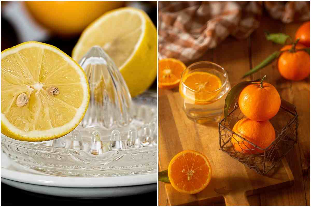 Limoni e arance ricche di vitamine C